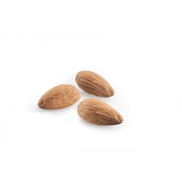 raw - dried nuts - ALMOND KERNELS RAW RAW NUTS